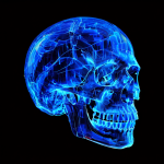 다양한 2D X-ray 투영 각도 데이터를 3D로 재구성하여 형성된 푸른 빛의 의료 영상 데이터가 인간 두개골 모델을 시각화하는 의료 영상 재구성 기술을 보여주는 이미지입니다.